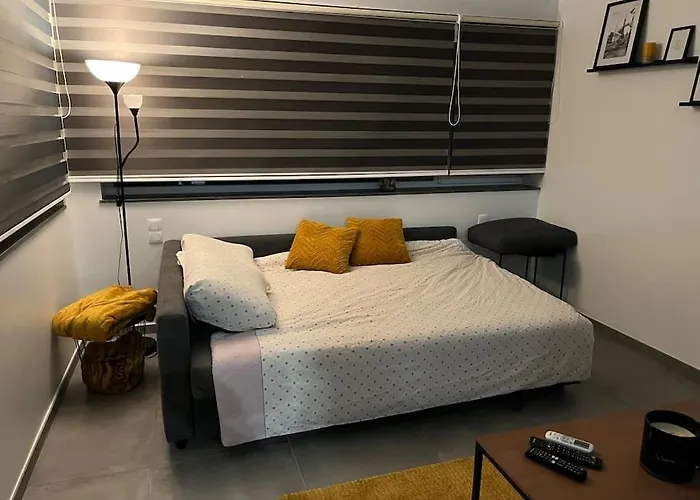 Le Grand Vivier- 68 M2 Heron